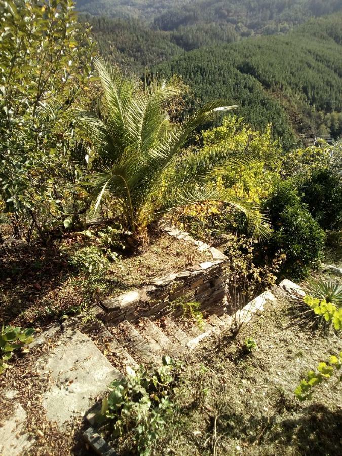 Quinta Silva Villa Ester Dış mekan fotoğraf