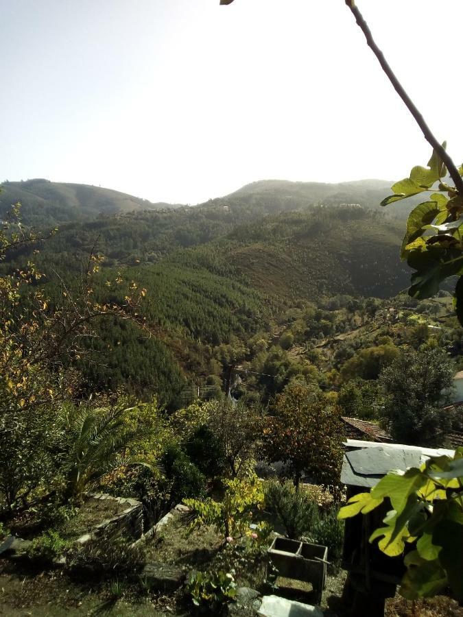 Quinta Silva Villa Ester Dış mekan fotoğraf