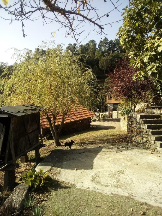 Quinta Silva Villa Ester Dış mekan fotoğraf